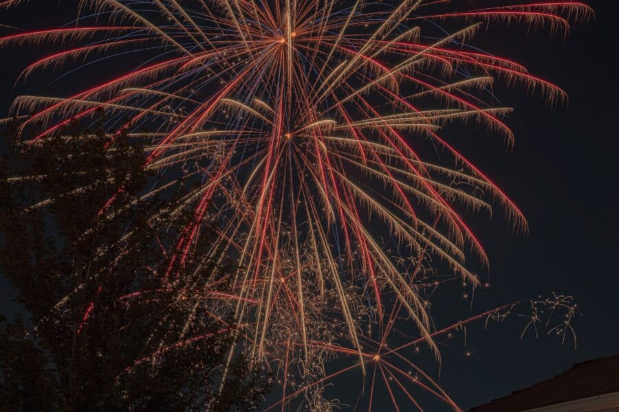 pexels davidguerrero 6741089 | Glenwood Student Living pexels davidguerrero 6741089